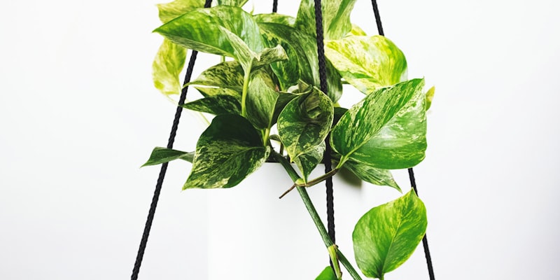 世界杯球队训练现场 - 球员正在进行战术演练